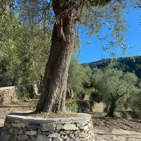 Penzion Borgo Alto Ospitalita Di Charme 3*